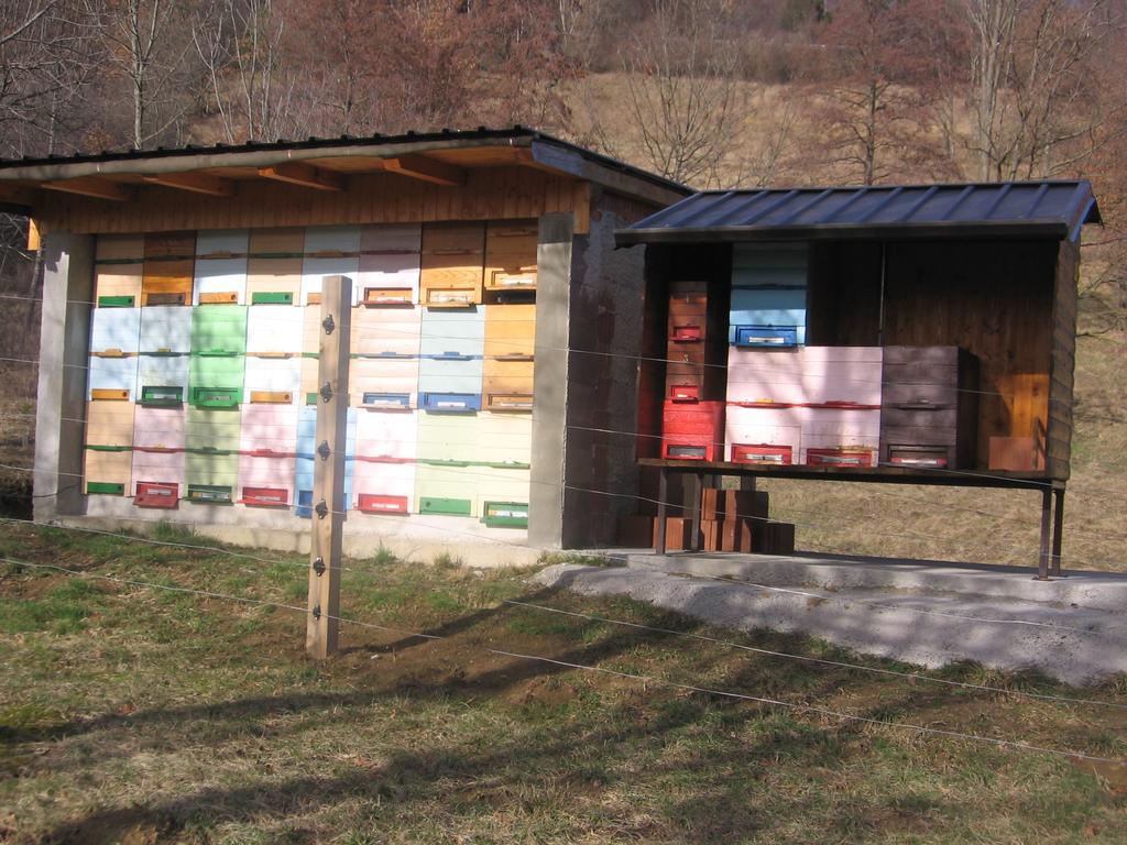 Guest House Roze Ilirska Bistrica Exterior foto