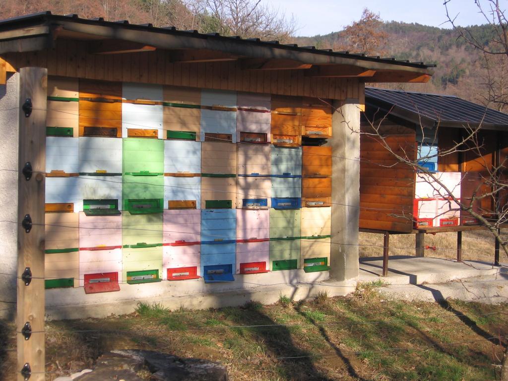 Guest House Roze Ilirska Bistrica Exterior foto